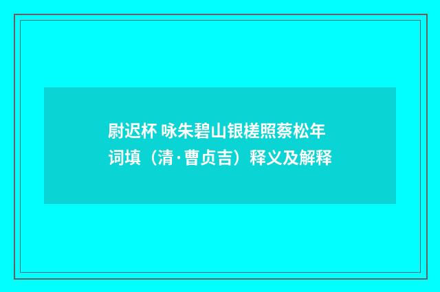 尉迟杯 咏朱碧山银槎照蔡松年词填（清·曹贞吉）释义及解释