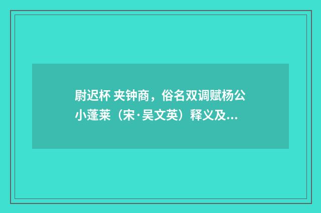 尉迟杯 夹钟商，俗名双调赋杨公小蓬莱（宋·吴文英）释义及解释