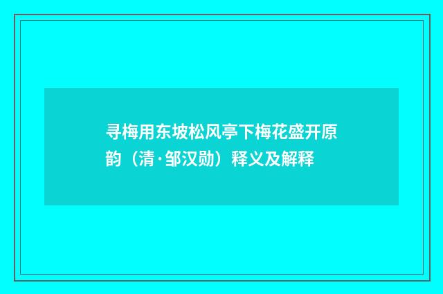 寻梅用东坡松风亭下梅花盛开原韵（清·邹汉勋）释义及解释