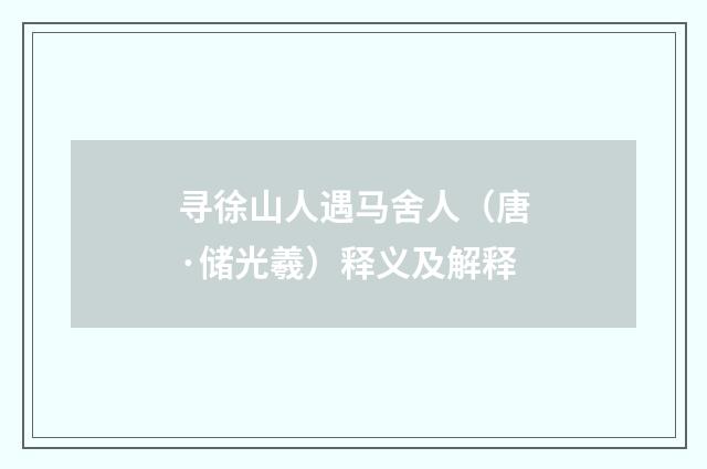 寻徐山人遇马舍人（唐·储光羲）释义及解释