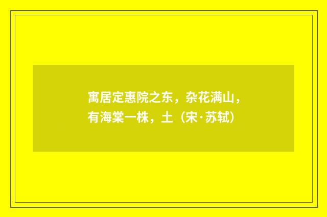 寓居定惠院之东，杂花满山，有海棠一株，土（宋·苏轼）