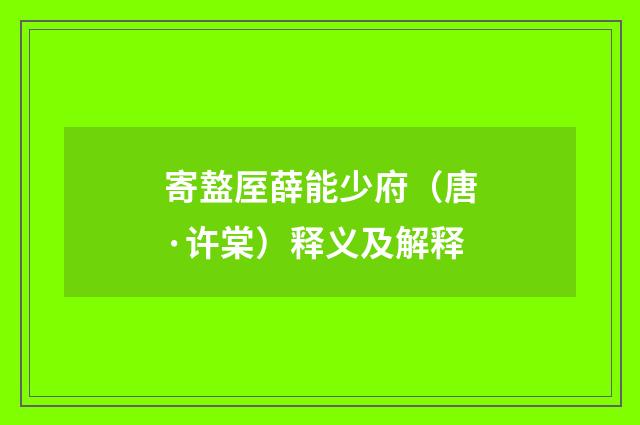 寄盩厔薛能少府（唐·许棠）释义及解释