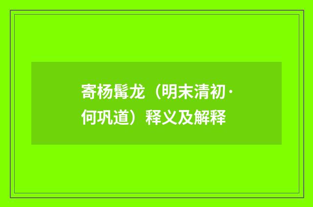 寄杨髯龙（明末清初·何巩道）释义及解释
