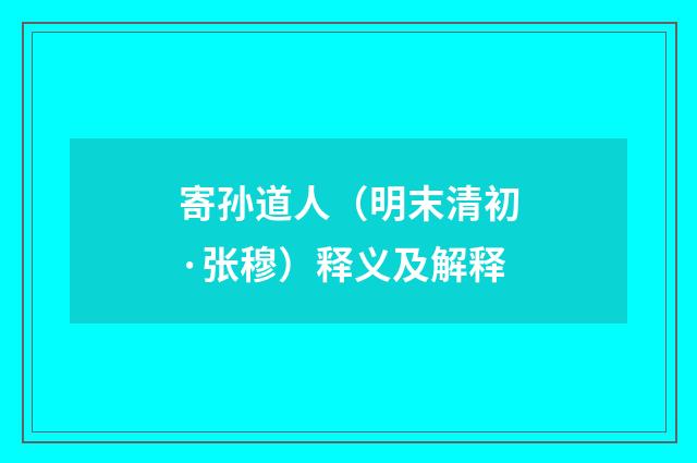 寄孙道人（明末清初·张穆）释义及解释