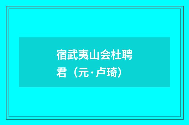 宿武夷山会杜聘君（元·卢琦）