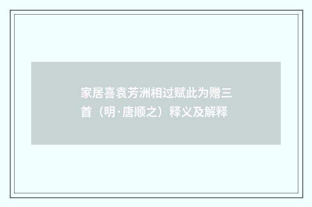 家居喜袁芳洲相过赋此为赠三首（明·唐顺之）释义及解释