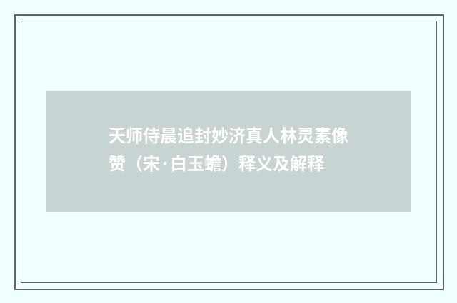 天师侍晨追封妙济真人林灵素像赞（宋·白玉蟾）释义及解释