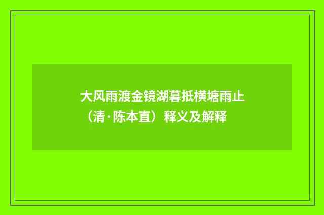 大风雨渡金镜湖暮抵横塘雨止（清·陈本直）释义及解释