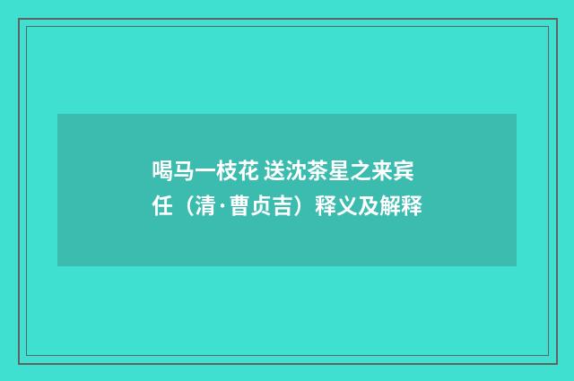 喝马一枝花 送沈茶星之来宾任（清·曹贞吉）释义及解释