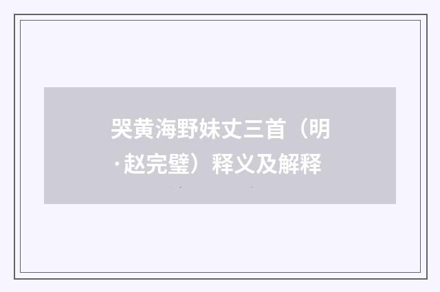 哭黄海野妹丈三首（明·赵完璧）释义及解释
