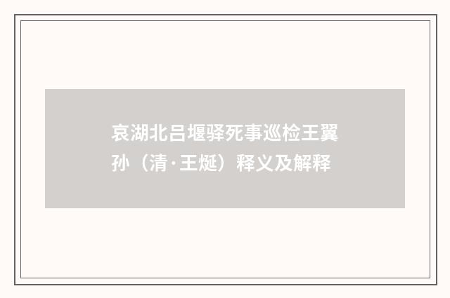 哀湖北吕堰驿死事巡检王翼孙（清·王烻）释义及解释