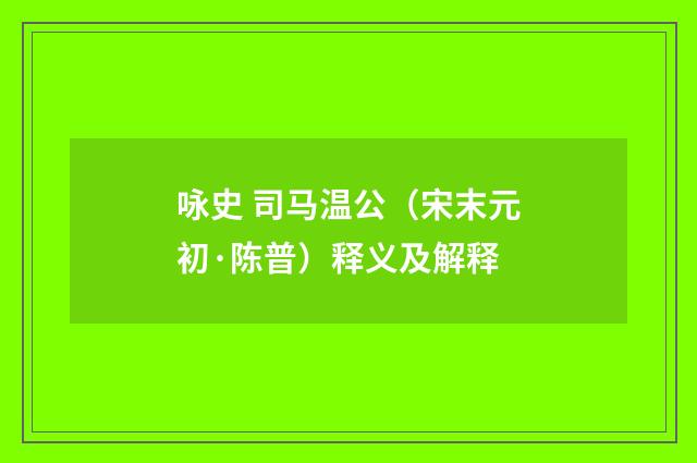 咏史 司马温公（宋末元初·陈普）释义及解释