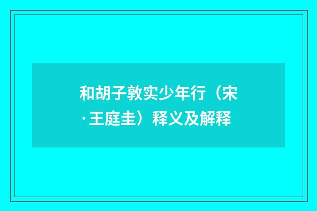 和胡子敦实少年行（宋·王庭圭）释义及解释