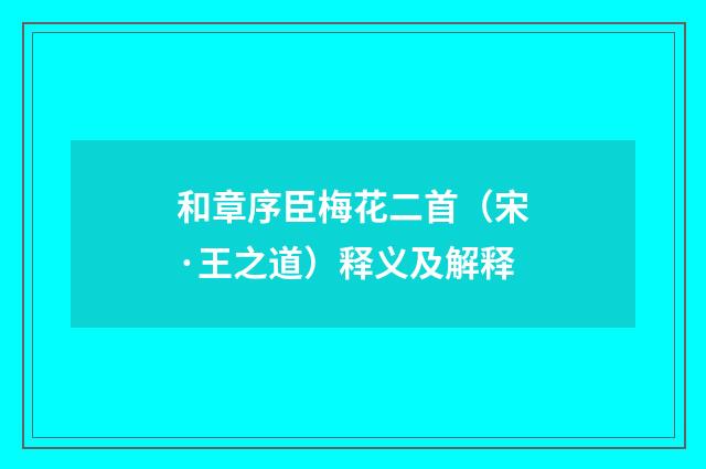 和章序臣梅花二首（宋·王之道）释义及解释