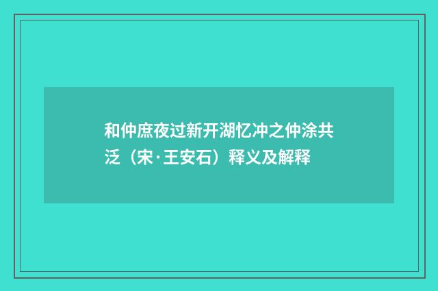 和仲庶夜过新开湖忆冲之仲涂共泛（宋·王安石）释义及解释
