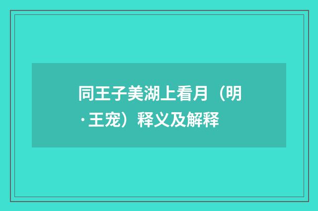 同王子美湖上看月（明·王宠）释义及解释