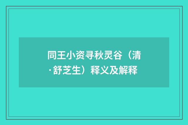 同王小资寻秋灵谷（清·舒芝生）释义及解释