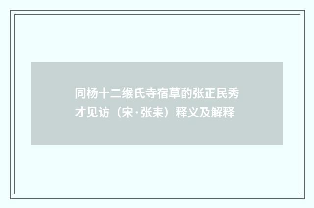 同杨十二缑氏寺宿草酌张正民秀才见访（宋·张耒）释义及解释
