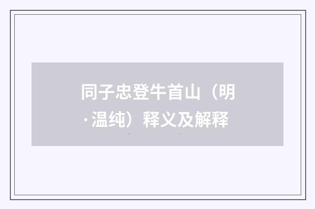 同子忠登牛首山（明·温纯）释义及解释