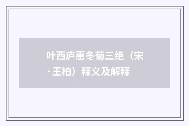 叶西庐惠冬菊三绝（宋·王柏）释义及解释