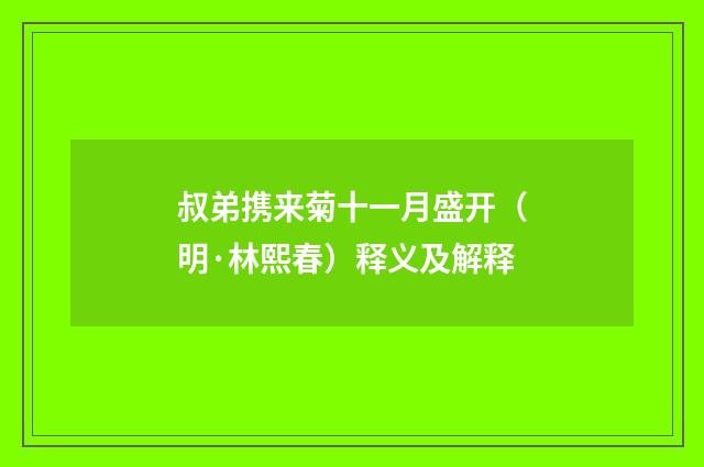 叔弟携来菊十一月盛开（明·林熙春）释义及解释
