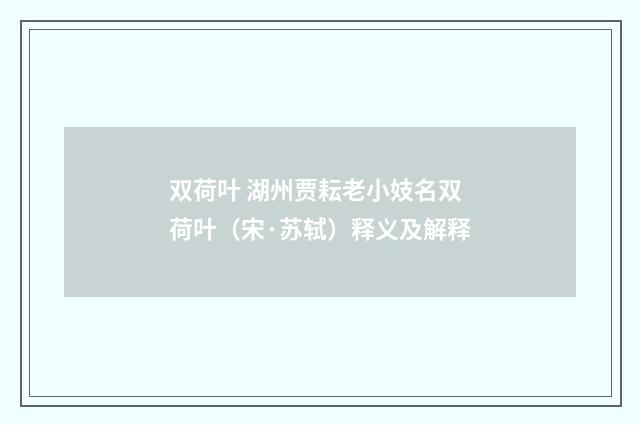 双荷叶 湖州贾耘老小妓名双荷叶（宋·苏轼）释义及解释