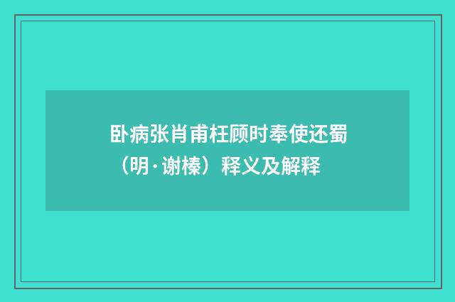 卧病张肖甫枉顾时奉使还蜀（明·谢榛）释义及解释