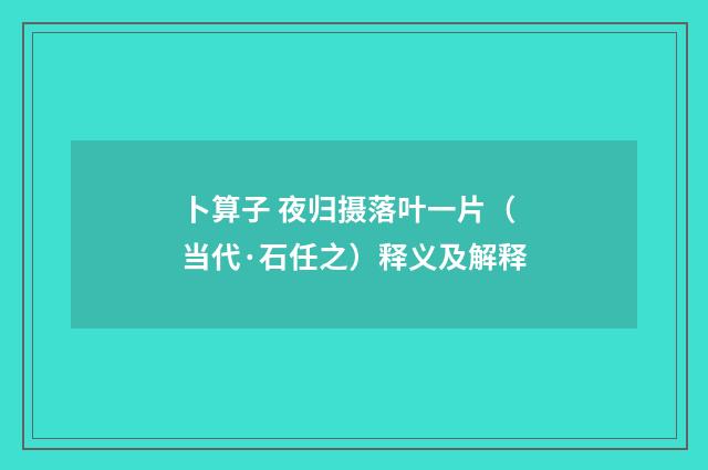 卜算子 夜归摄落叶一片（当代·石任之）释义及解释