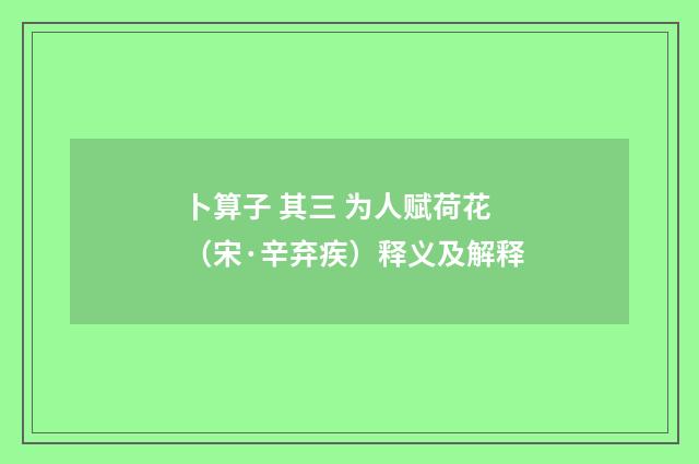 卜算子 其三 为人赋荷花（宋·辛弃疾）释义及解释