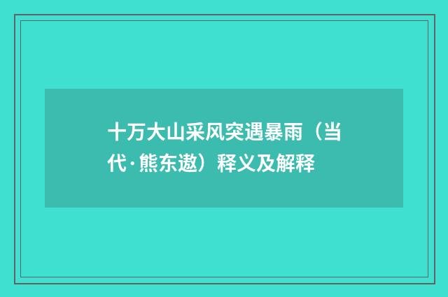 十万大山采风突遇暴雨（当代·熊东遨）释义及解释