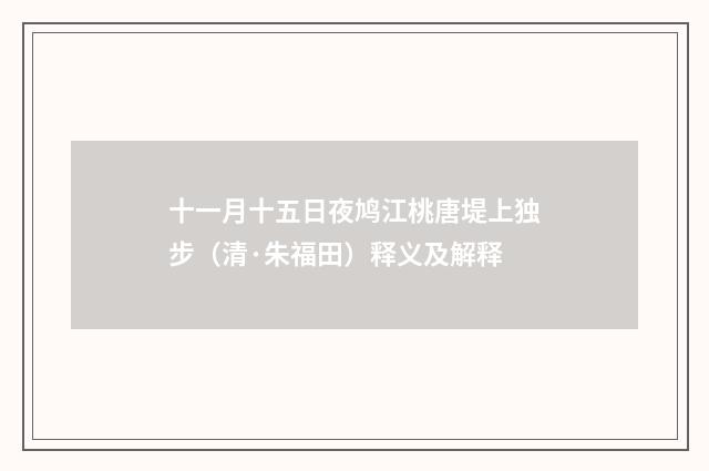 十一月十五日夜鸠江桃唐堤上独步（清·朱福田）释义及解释
