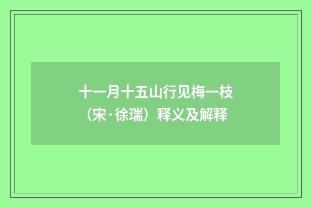 十一月十五山行见梅一枝（宋·徐瑞）释义及解释