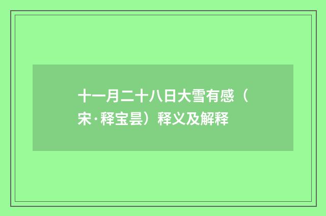 十一月二十八日大雪有感（宋·释宝昙）释义及解释