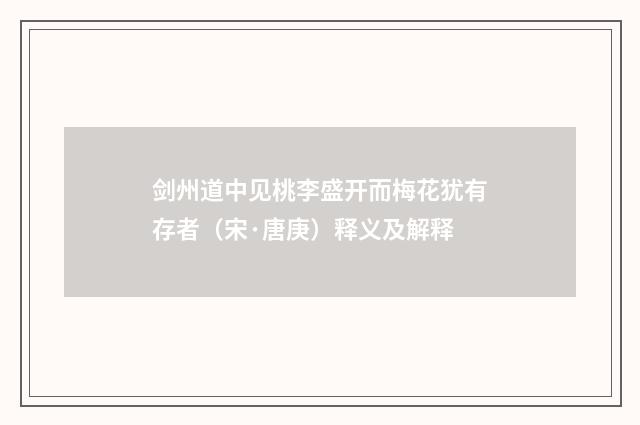 剑州道中见桃李盛开而梅花犹有存者（宋·唐庚）释义及解释