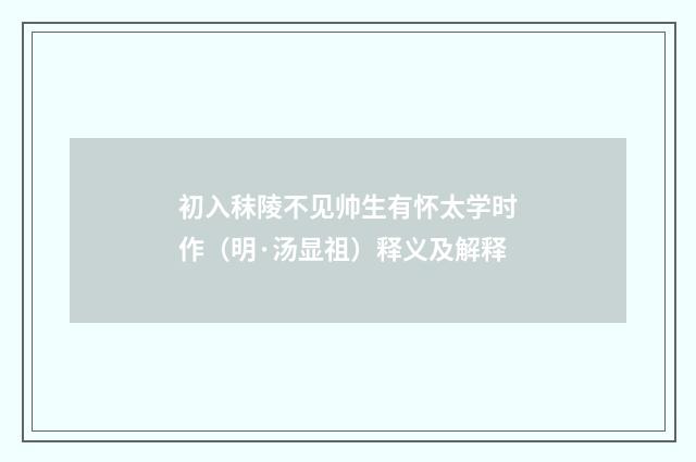 初入秣陵不见帅生有怀太学时作（明·汤显祖）释义及解释