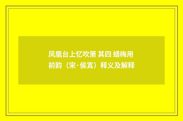 凤凰台上忆吹箫 其四 蜡梅用前韵（宋·侯寘）释义及解释