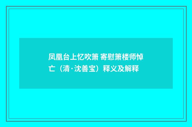 凤凰台上忆吹箫 寄慰箫楼师悼亡（清·沈善宝）释义及解释