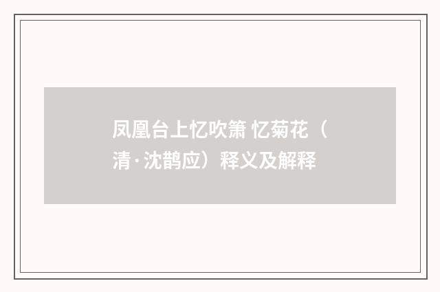 凤凰台上忆吹箫 忆菊花（清·沈鹊应）释义及解释