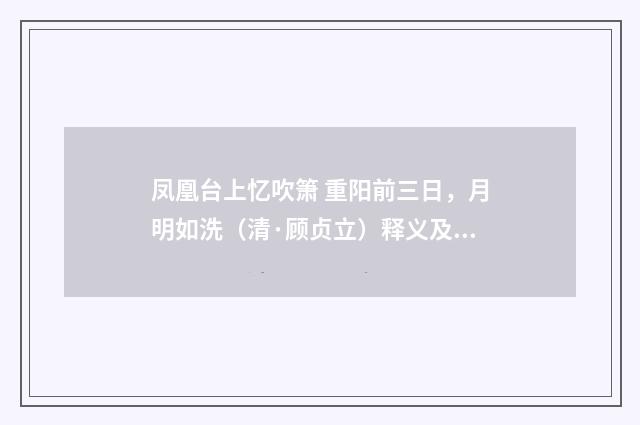 凤凰台上忆吹箫 重阳前三日，月明如洗（清·顾贞立）释义及解释