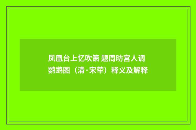 凤凰台上忆吹箫 题周昉宫人调鹦鹉图（清·宋荦）释义及解释