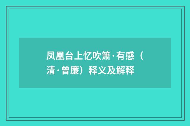 凤凰台上忆吹箫·有感（清·曾廉）释义及解释
