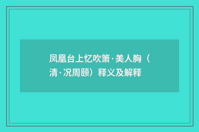 凤凰台上忆吹箫·美人胸（清·况周颐）释义及解释