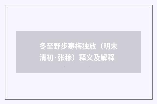 冬至野步寒梅独放（明末清初·张穆）释义及解释