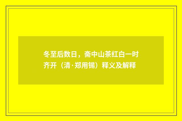 冬至后数日，斋中山茶红白一时齐开（清·郑用锡）释义及解释