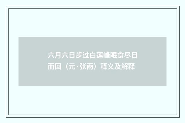 六月六日步过白莲峰眠食尽日而回（元·张雨）释义及解释