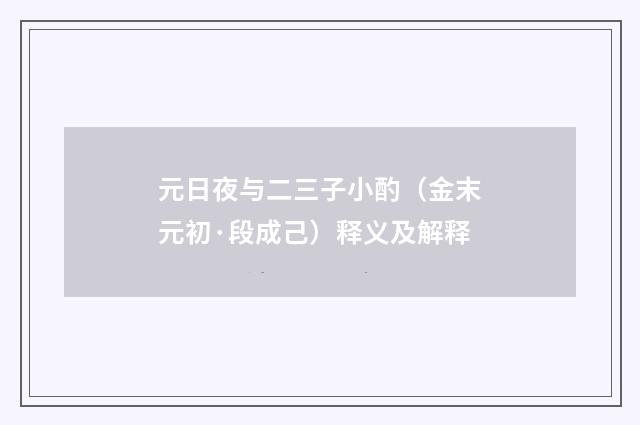 元日夜与二三子小酌（金末元初·段成己）释义及解释