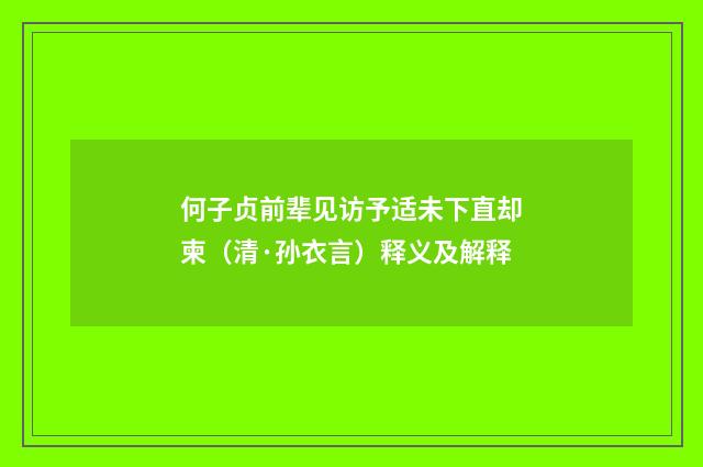 何子贞前辈见访予适未下直却柬（清·孙衣言）释义及解释