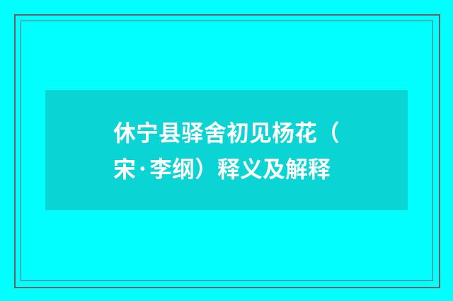 休宁县驿舍初见杨花（宋·李纲）释义及解释