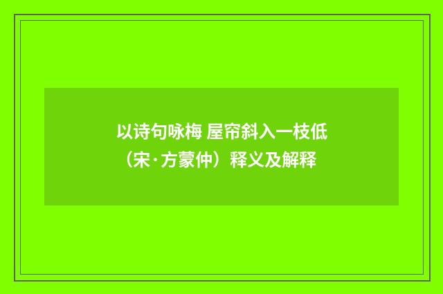 以诗句咏梅 屋帘斜入一枝低（宋·方蒙仲）释义及解释
