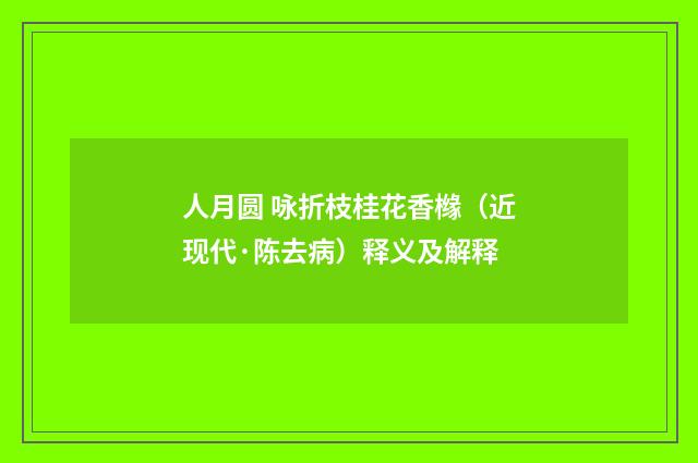 人月圆 咏折枝桂花香橼（近现代·陈去病）释义及解释